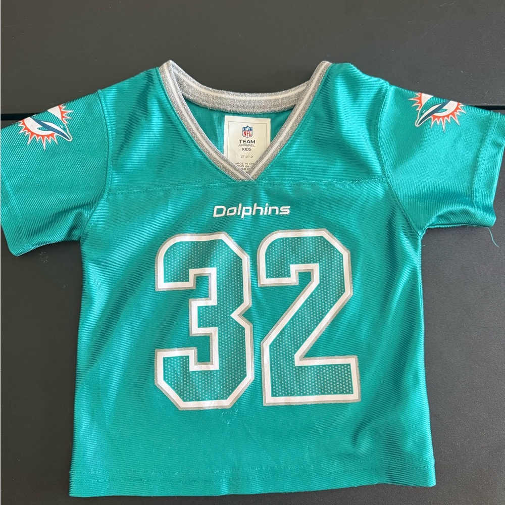 Team Apparel Kids Teal Dolphins Jersey with Gray Accents